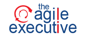 Agile Logo (456x124) (1)